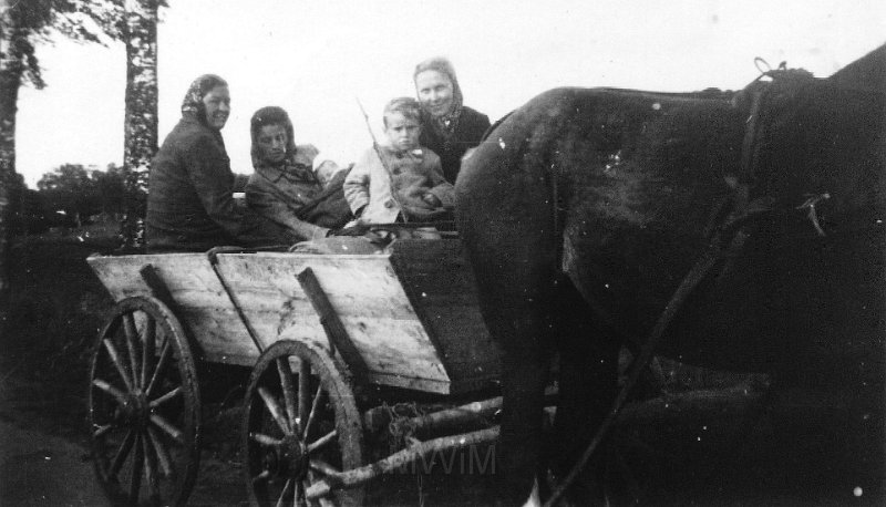 KKE 6095.jpg - Fot. Wyjazd na wieś. Na wozie. Od lewej: pierwsza pani Burkiciakowa, druga Danuta Trzcińska z synem Leszkiem Trzcińskim i córką Anną Trzcińską, piąta Anna (Niemka mieszkająca u państwa Trzcińskich - później wyjechała do Niemiec), wieś, lata 40-te XX wieku.